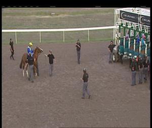 Video preview image for Chelmsford City 20:40 - totepoolliveinfo.com Maiden Stakes