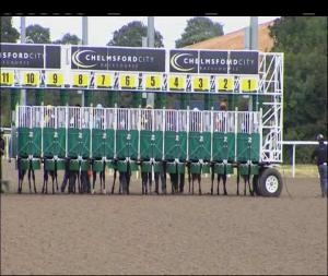 Video preview image for Chelmsford City 13:45 - Essex Life Novice Auction Stakes (5)