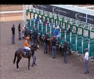 Video preview image for Chelmsford City 14:50 - Bet Toteexacta At totesport.com Novice Auction Stakes (6)