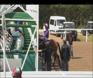 Video preview image for Chelmsford City 14:55 - Australian Gold Summer Handicap (3)