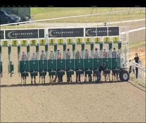 Video preview image for Chelmsford City 15:30 - Sheridan Maine At Pertemps Handicap (3)