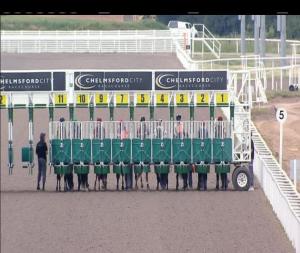Video preview image for Chelmsford City 16:20 - Bet Toteswinger At totesport.com Essex Sprint Handicap (2)