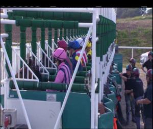 Video preview image for Chelmsford City 16:50 - Bet Totescoop6 At totesport.com Fillies' Handicap (2)