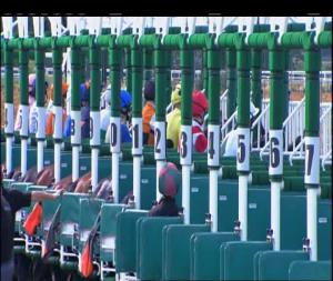 Video preview image for Chelmsford City 17:20 - Transparent Recruitment Solutions Ltd "Confined" Novice Stakes (5)