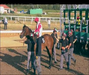 Video preview image for Chelmsford City 19:10 - Extra Places At totesport.com Handicap (2)