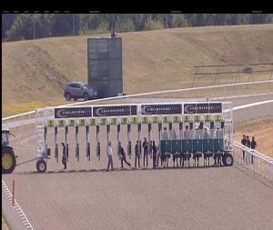 Video preview image for Chelmsford City 15:15 - Irish Lotto At totesport.com British EBF Fillies' Handicap (3)