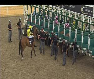 Video preview image for Chelmsford City 15:50 - Bet Totetrifecta At totesport.com Handicap (5)