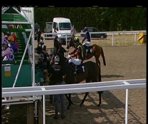 Video preview image for Chelmsford City 16:25 - Double Delight Hat-Trick Heaven At totesport.com Handicap (6) (Div 1)