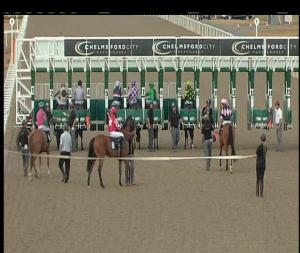 Video preview image for Chelmsford City 17:20 - Razorlight Here Friday 10th August Handicap (6)