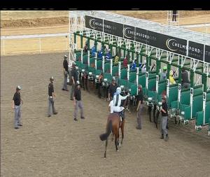 Video preview image for Chelmsford City 18:40 - Hop House 13 Novice Stakes (4)