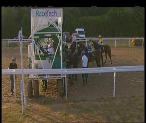 Video preview image for Chelmsford City 19:30 - Bet Totetrifecta At totesport.com Handicap (4)
