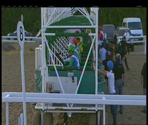 Video preview image for Chelmsford City 20:05 - Bet Toteswinger At totesport.com British EBF "Confined" Fillies' Novice Stakes (4)