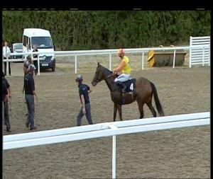 Video preview image for Chelmsford City 20:10 - Hills Prospect Simply The Best Novice Stakes (4)