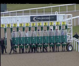 Video preview image for Chelmsford City 14:55 - Toteexacta Pick The 1st and 2nd Fillies' Novice Stakes (4)