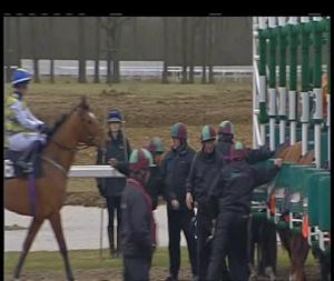 Video preview image for Chelmsford City 15:30 - Totequadpot Races 3 To 6 Handicap (2)