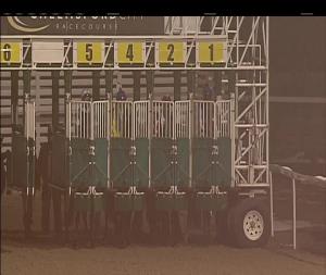 Video preview image for Chelmsford City 18:15 - Toteexacta Pick The 1st and 2nd Novice Stakes (4)