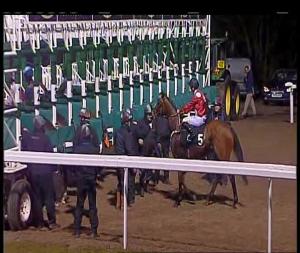 Video preview image for Chelmsford City 18:15 - Bet Exacta At totesport.com Handicap (4)