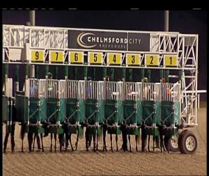 Video preview image for Chelmsford City 18:45 - Toteexacta Pick The 1st and 2nd Handicap (5)