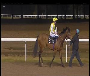 Video preview image for Chelmsford City 19:15 - Bet Trifecta At totesport.com Handicap (4)