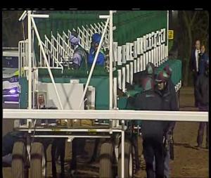 Video preview image for Chelmsford City 20:00 - Totetrifecta Pick The 1,2,3 Handicap (4)