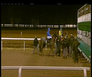 Video preview image for Chelmsford City 20:15 - Toteswinger Two In The First Three Fillies' Novice Stakes (4)