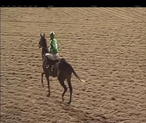 Video preview image for Chelmsford City 20:15 - Totepool Bets At totesport.com Fillies' Handicap (5)