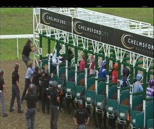 Video preview image for Chelmsford City 13:55 - Toteplacepot Chelmsford City's 1000th Race Novice Median Auction Stakes