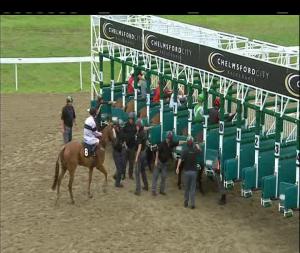 Video preview image for Chelmsford City 14:30 - Toteexacta Classified Claiming Stakes