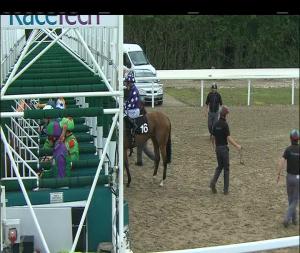 Video preview image for Chelmsford City 15:05 - Totequadpot Handicap