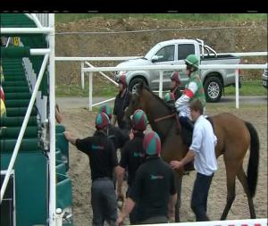 Video preview image for Chelmsford City 16:15 - Totewin Fillies' Handicap