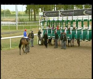 Video preview image for Chelmsford City 17:40 - Bet Toteplacepot At totesport.com Novice Stakes (Plus 10)