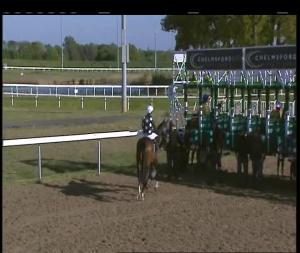 Video preview image for Chelmsford City 17:55 - Toteplacepot Racing's Favourite Maiden Fillies' Stakes