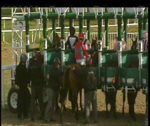 Video preview image for Chelmsford City 18:10 - Bet Totetrifecta At totesport.com Handicap