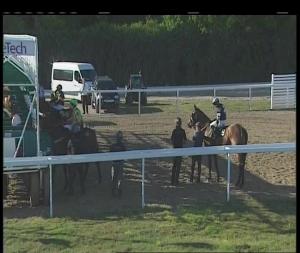 Video preview image for Chelmsford City 18:20 - Toteexacta At betfred.com Handicap