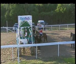 Video preview image for Chelmsford City 18:55 - Totequadpot Four Places In Four Races Fillies' Handicap