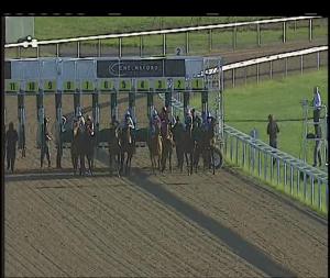 Video preview image for Chelmsford City 19:25 - Totetrifecta At betfred.com Handicap