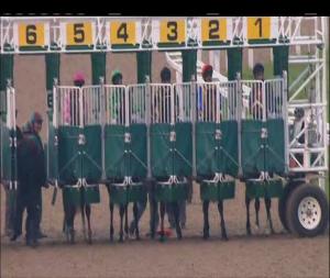Video preview image for Chelmsford City 19:40 - Totepool Like Us On Facebook Handicap