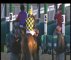 Video preview image for Chelmsford City 19:55 - totepoolliveinfo.com For Racing Results Conditions Stakes