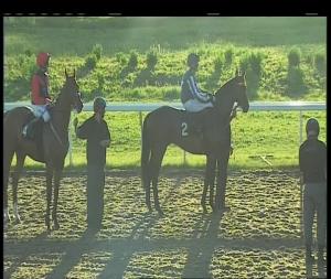 Video preview image for Chelmsford City 20:00 - Totewin At betfred.com Handicap