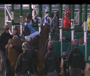 Video preview image for Chelmsford City 20:10 - Totepool Betting On All UK Racing Handicap