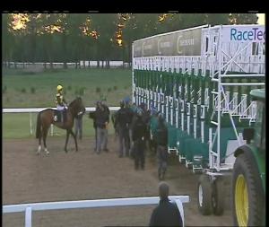 Video preview image for Chelmsford City 20:25 - Totepool Betting On All UK Racing Handicap
