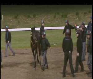 Video preview image for Chelmsford City 20:55 - Ub40 Play Here On 12th August Median Auction Maiden Stakes