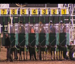 Video preview image for Chelmsford City 21:10 - Ladies Day 22nd June Handicap