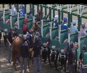 Video preview image for Chelmsford City 14:05 - Bet Toteplacepot At totesport.com Novice Median Auction Stakes (5)