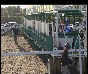 Video preview image for Chelmsford City 18:40 - Bet Exacta At totesport.com Handicap (2)