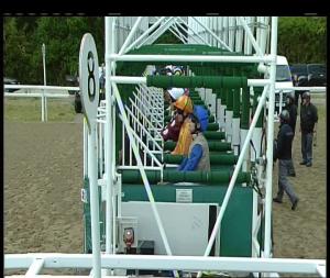 Video preview image for Chelmsford City 18:45 - Extra Places At totesport.com Novice Stakes (4)