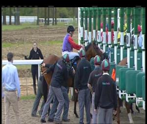 Video preview image for Chelmsford City 18:50 - Totequadpot Races 3 To 6 Novice Stakes (4)