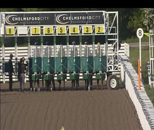 Video preview image for Chelmsford City 19:10 - Bet Quadpot At totesport.com Fillies' Handicap (3)