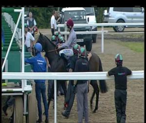 Video preview image for Chelmsford City 19:40 - Irish Lotto At totesport.com Fillies' Handicap (2)