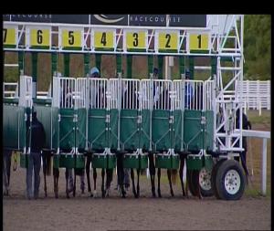 Video preview image for Chelmsford City 20:10 - Bet Scoop6 At totesport.com Conditions Stakes (2)